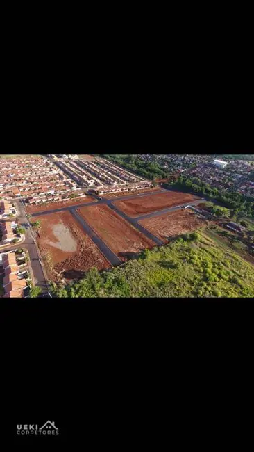 Foto 6 de Terreno / Lote à venda, 250m2 em Ibipora - PR