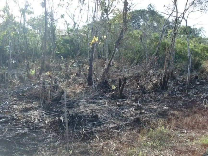 Foto 1 de Terreno / Lote à venda e para alugar, 250m2 em Peruibe - SP