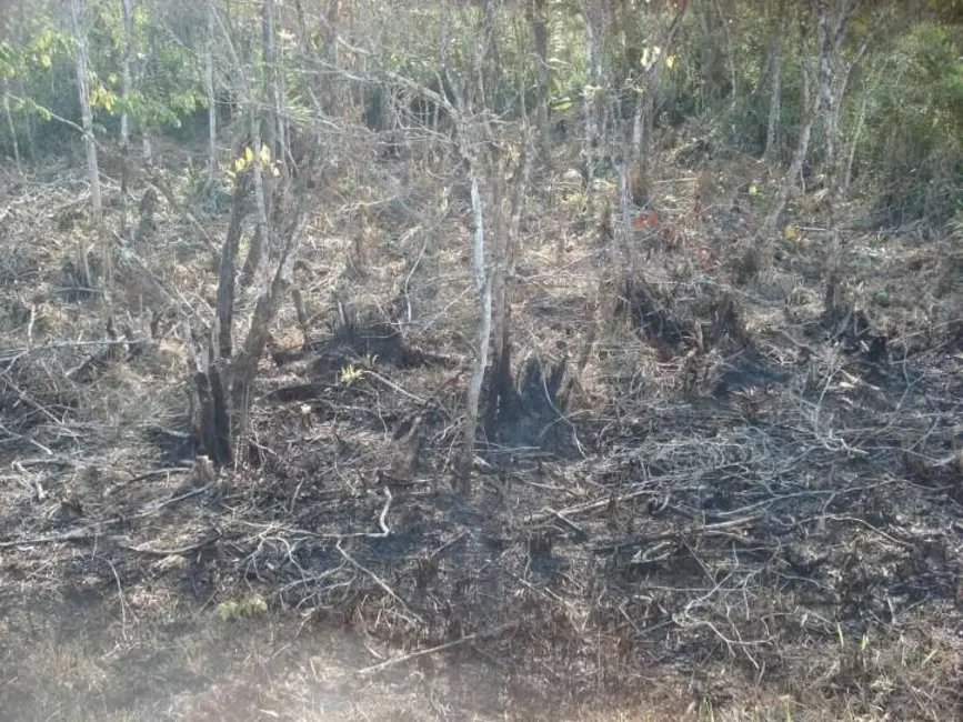 Foto 2 de Terreno / Lote à venda e para alugar, 250m2 em Peruibe - SP