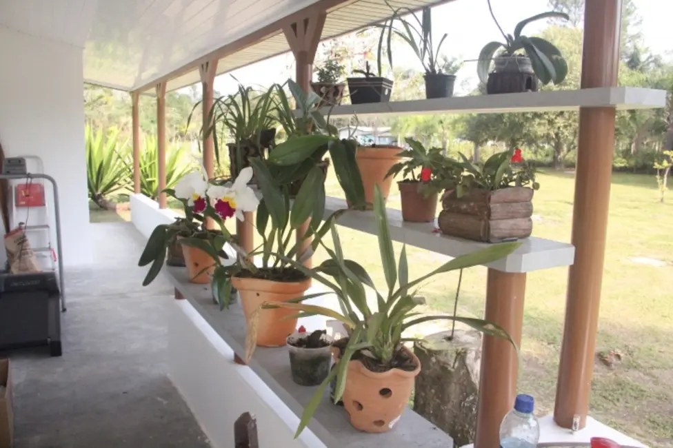 Foto 9 de Casa com 4 quartos à venda, 40000m2 em Guaraguaçu, Pontal Do Parana - PR