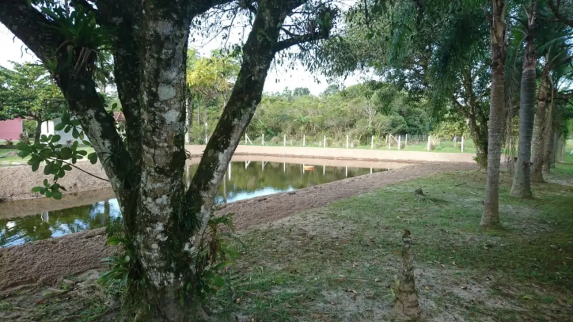Foto 7 de Sala Comercial com 6 quartos à venda, 40000m2 em Guaraguaçu, Pontal Do Parana - PR