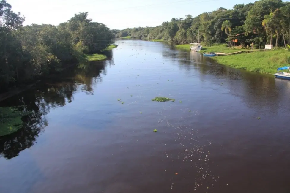 Foto 5 de Sala Comercial com 6 quartos à venda, 40000m2 em Guaraguaçu, Pontal Do Parana - PR