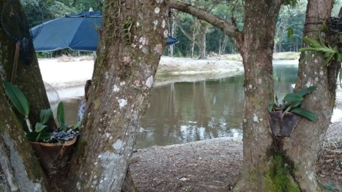 Foto 6 de Sala Comercial com 6 quartos à venda, 40000m2 em Guaraguaçu, Pontal Do Parana - PR