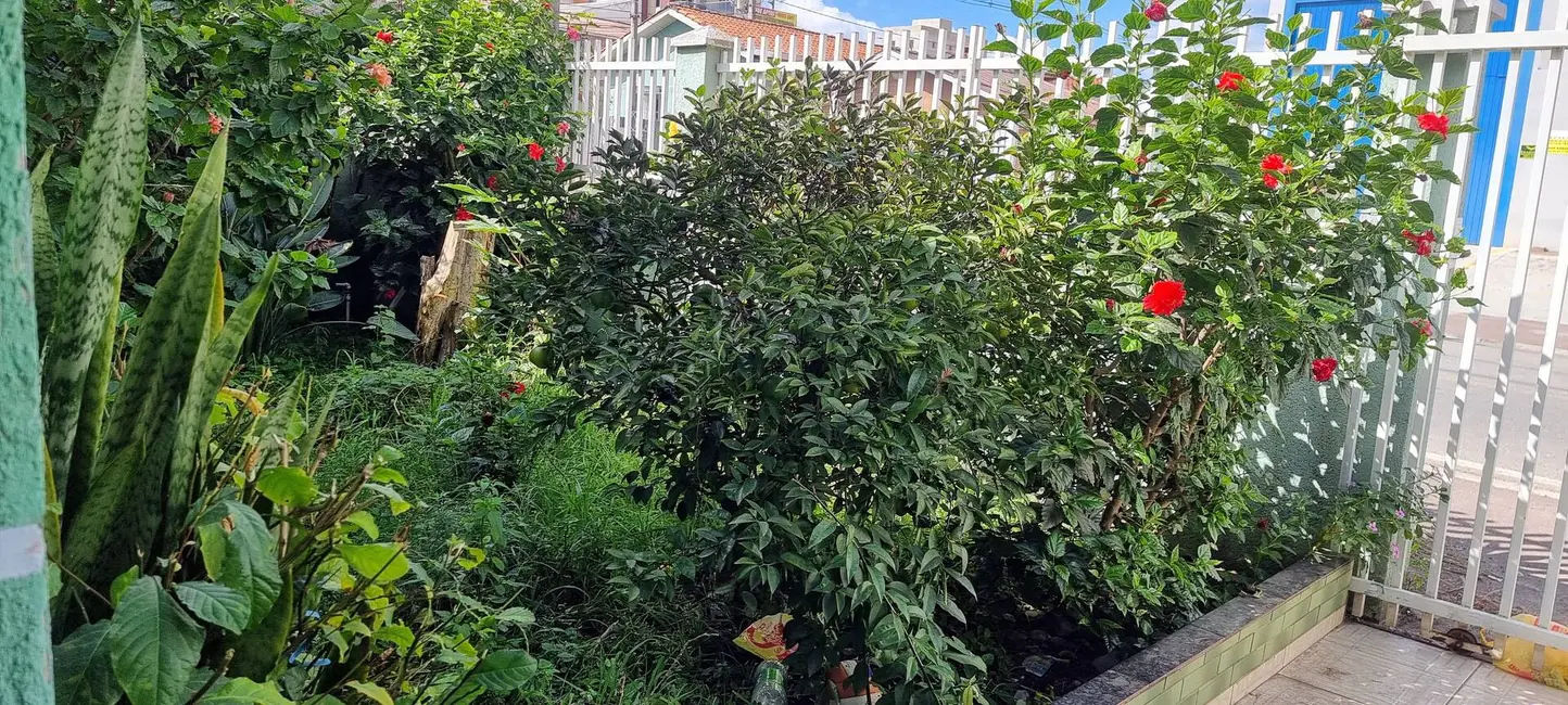 Foto 2 de Casa com 5 quartos à venda, 408m2 em Colombo - PR
