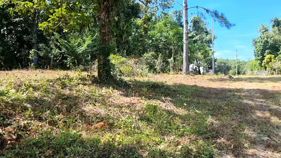 Foto 9 de Chácara com 3 quartos à venda, 3800m2 em Guaraguaçu, Pontal Do Parana - PR