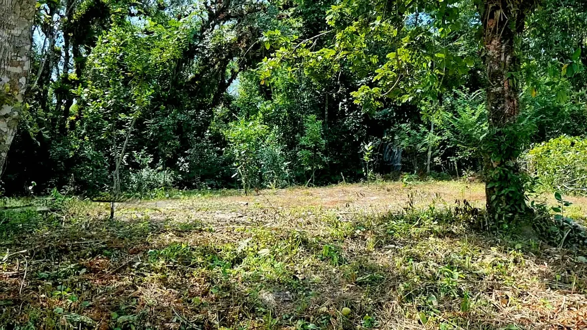 Foto 5 de Chácara com 3 quartos à venda, 3800m2 em Guaraguaçu, Pontal Do Parana - PR