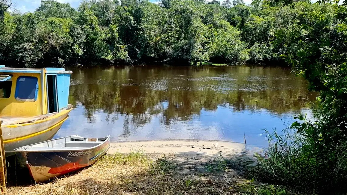 Foto 8 de Chácara com 3 quartos à venda, 3800m2 em Guaraguaçu, Pontal Do Parana - PR