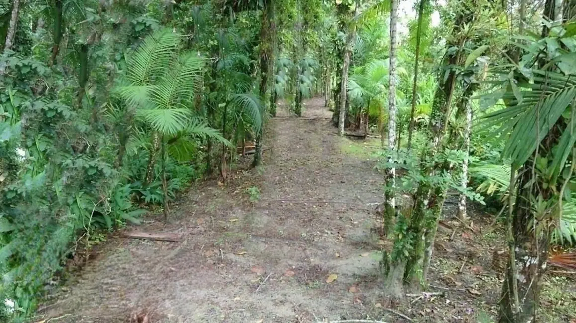Foto 5 de Chácara à venda, 1365m2 em Guaraguaçu, Pontal Do Parana - PR
