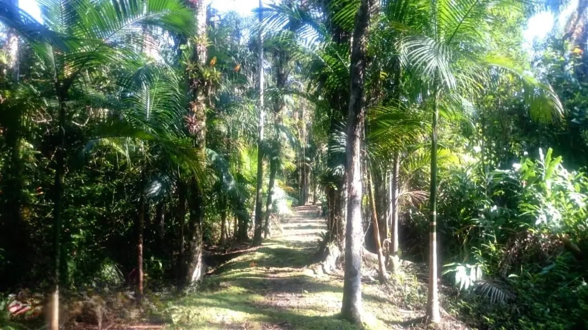 Foto 2 de Chácara à venda, 1365m2 em Guaraguaçu, Pontal Do Parana - PR