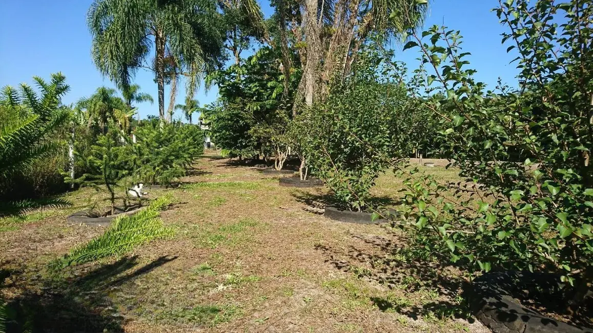 Foto 7 de Chácara à venda, 1505m2 em Guaraguaçu, Pontal Do Parana - PR