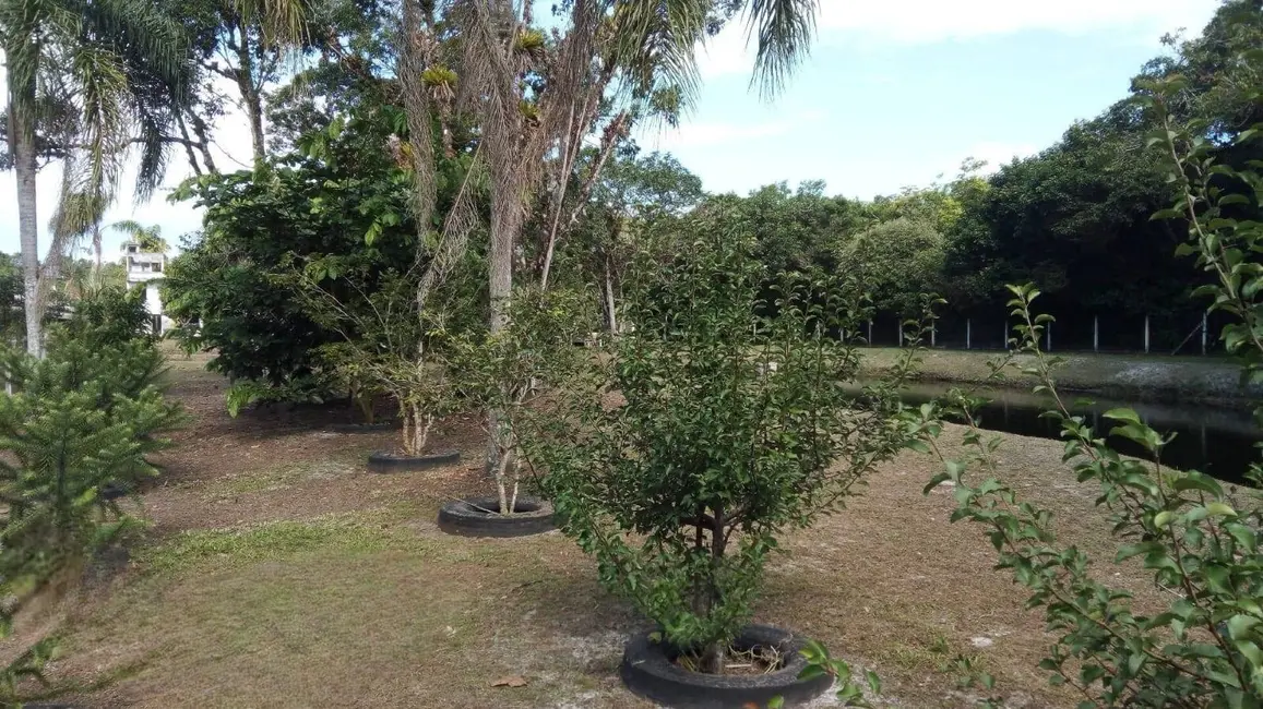 Foto 3 de Chácara à venda, 1750m2 em Guaraguaçu, Pontal Do Parana - PR