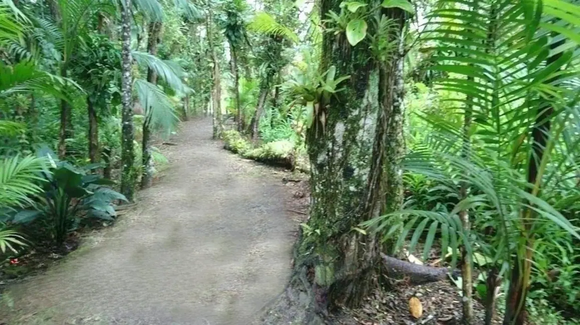 Foto 9 de Chácara à venda, 1750m2 em Guaraguaçu, Pontal Do Parana - PR