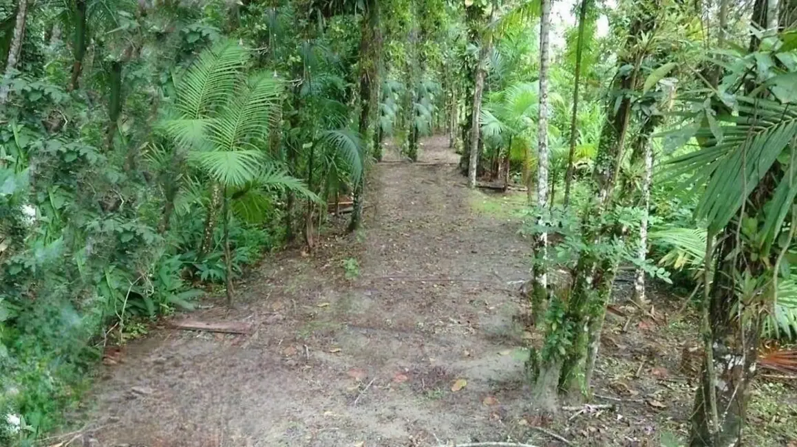 Foto 5 de Chácara à venda, 1750m2 em Guaraguaçu, Pontal Do Parana - PR