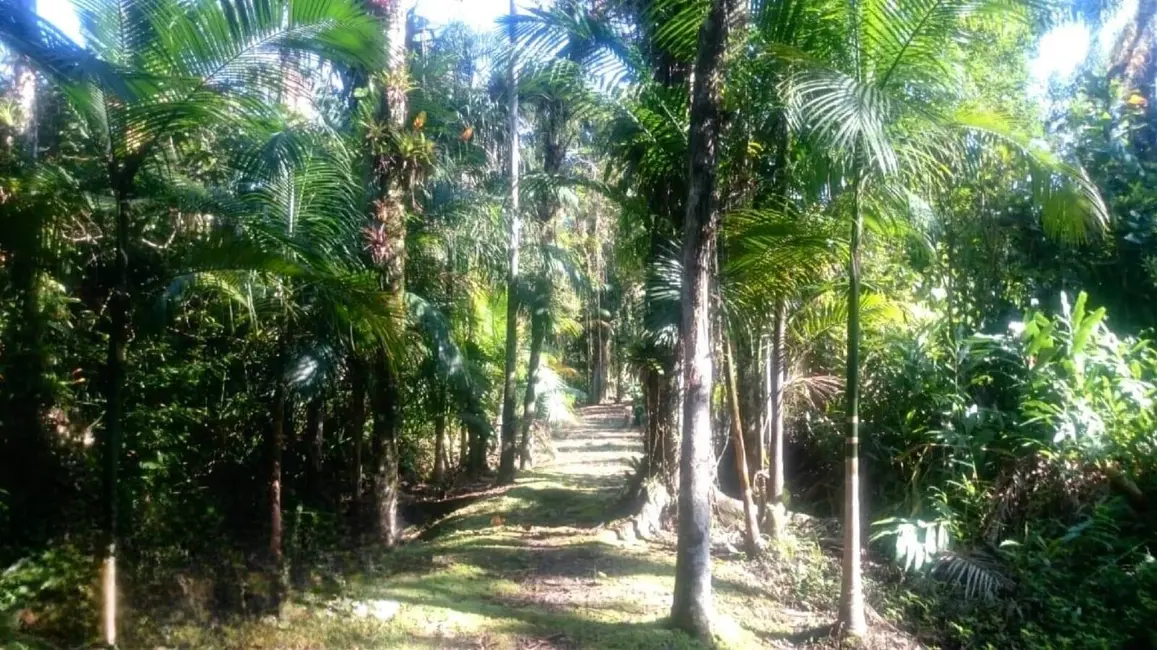 Foto 8 de Chácara à venda, 1750m2 em Guaraguaçu, Pontal Do Parana - PR