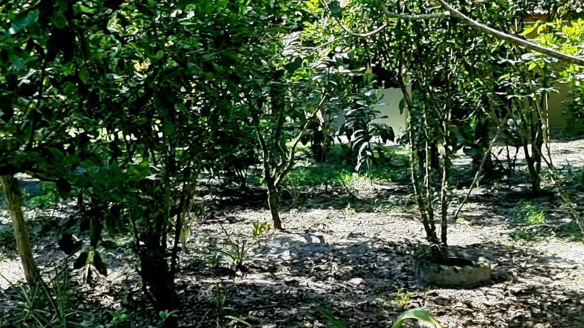 Foto 7 de Chácara com 3 quartos à venda, 22500m2 em Guaraguaçu, Pontal Do Parana - PR