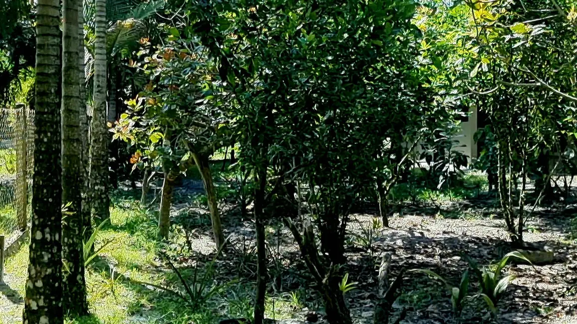 Foto 4 de Chácara com 3 quartos à venda, 22500m2 em Guaraguaçu, Pontal Do Parana - PR