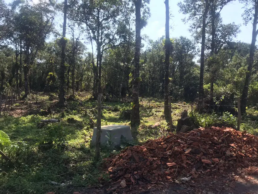 Foto 2 de Chácara à venda, 5000m2 em Pontal Do Parana - PR