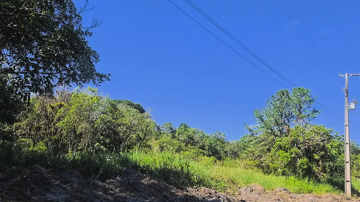 Foto 4 de Chácara à venda, 30000m2 em Guaraguaçu, Pontal Do Parana - PR