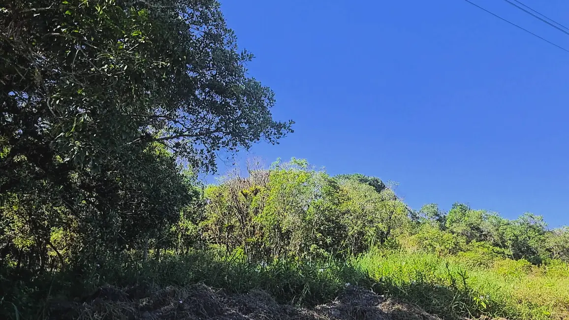 Foto 2 de Chácara à venda, 30000m2 em Guaraguaçu, Pontal Do Parana - PR
