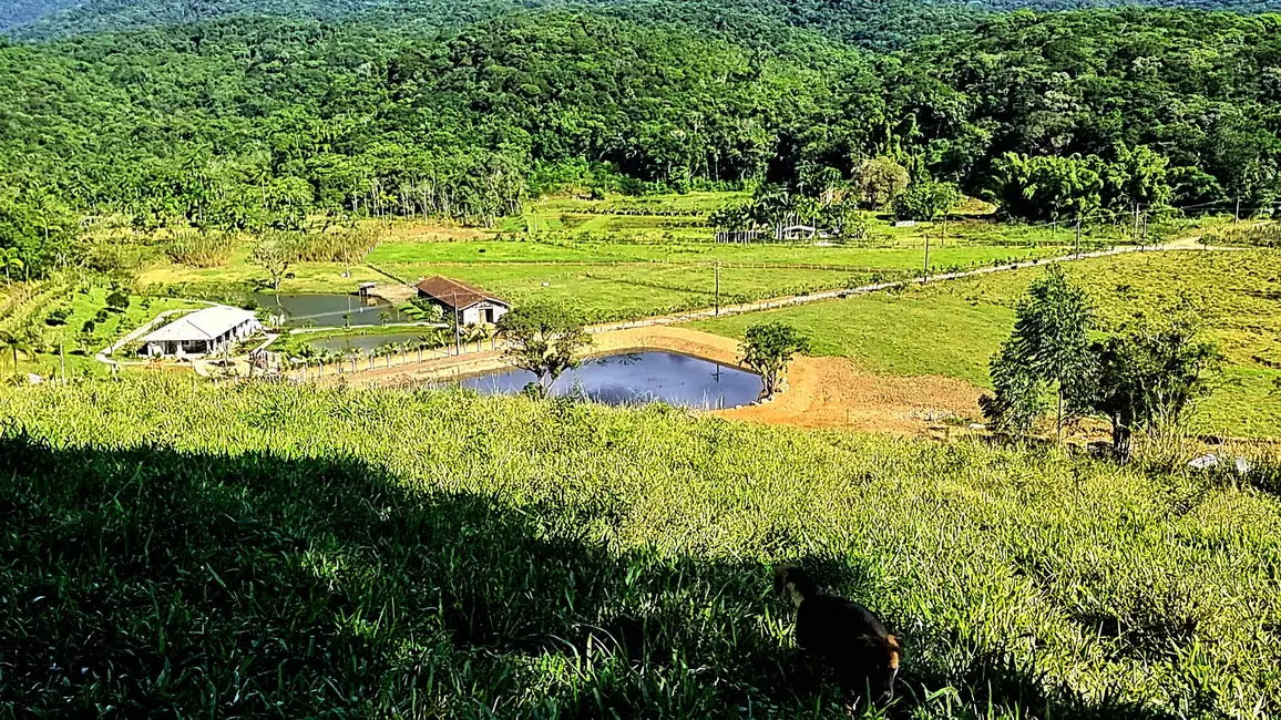 Chácara com 4 quartos à venda, 135000m2 em Paranagua - PR - imagem 4 Foto 4 de Chácara com 4 quartos à venda, 135000m2 em Paranagua - PR