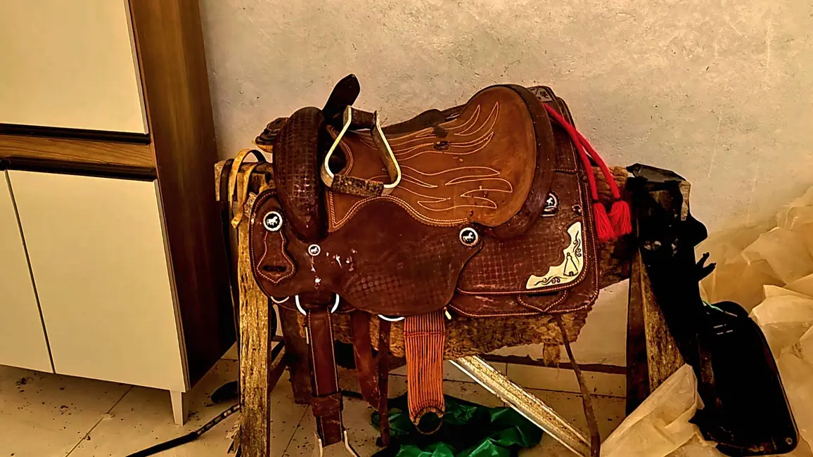 Chácara com 4 quartos à venda, 135000m2 em Paranagua - PR - imagem 5 Foto 5 de Chácara com 4 quartos à venda, 135000m2 em Paranagua - PR