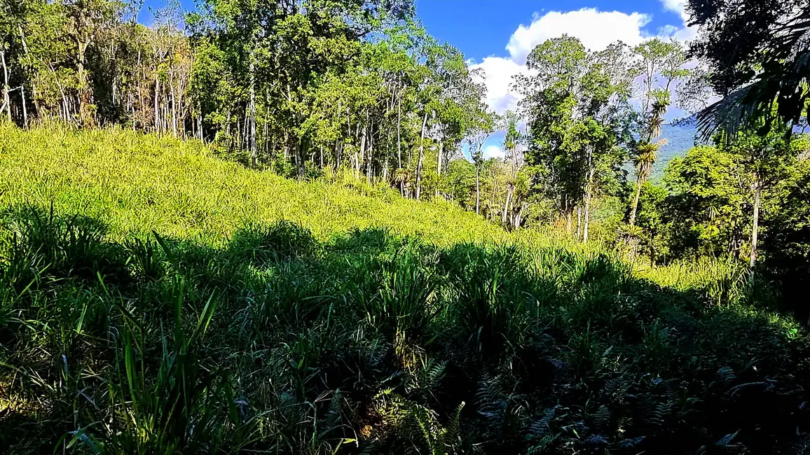 Chácara com 4 quartos à venda, 135000m2 em Paranagua - PR - imagem 9 Foto 9 de Chácara com 4 quartos à venda, 135000m2 em Paranagua - PR