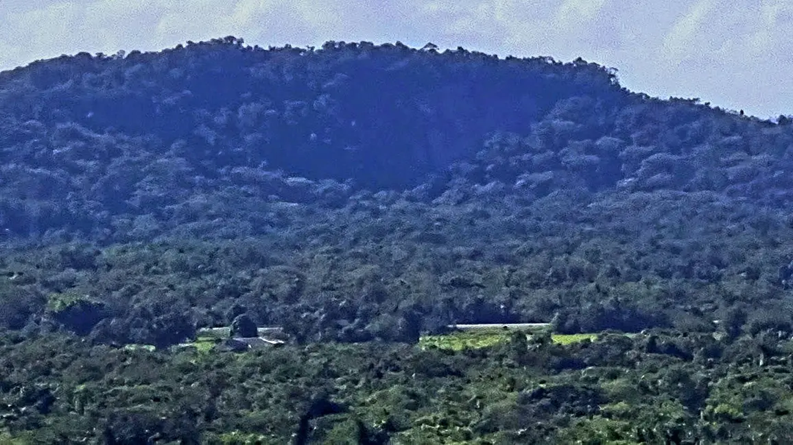 Chácara com 4 quartos à venda, 135000m2 em Paranagua - PR - imagem 6 Foto 6 de Chácara com 4 quartos à venda, 135000m2 em Paranagua - PR