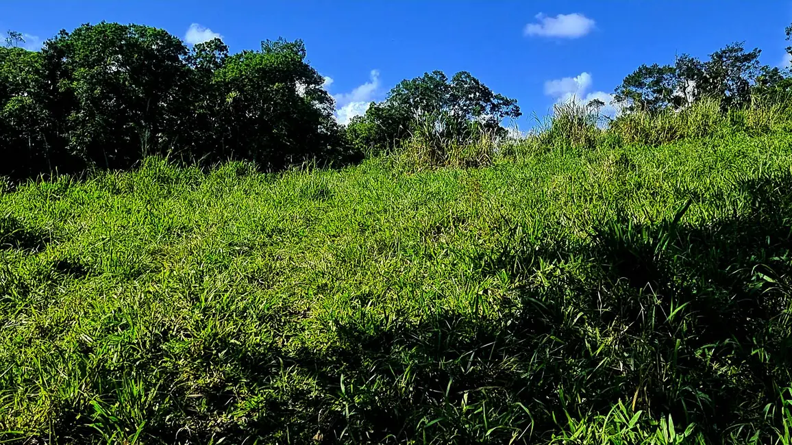 Chácara com 4 quartos à venda, 135000m2 em Paranagua - PR - imagem 8 Foto 8 de Chácara com 4 quartos à venda, 135000m2 em Paranagua - PR