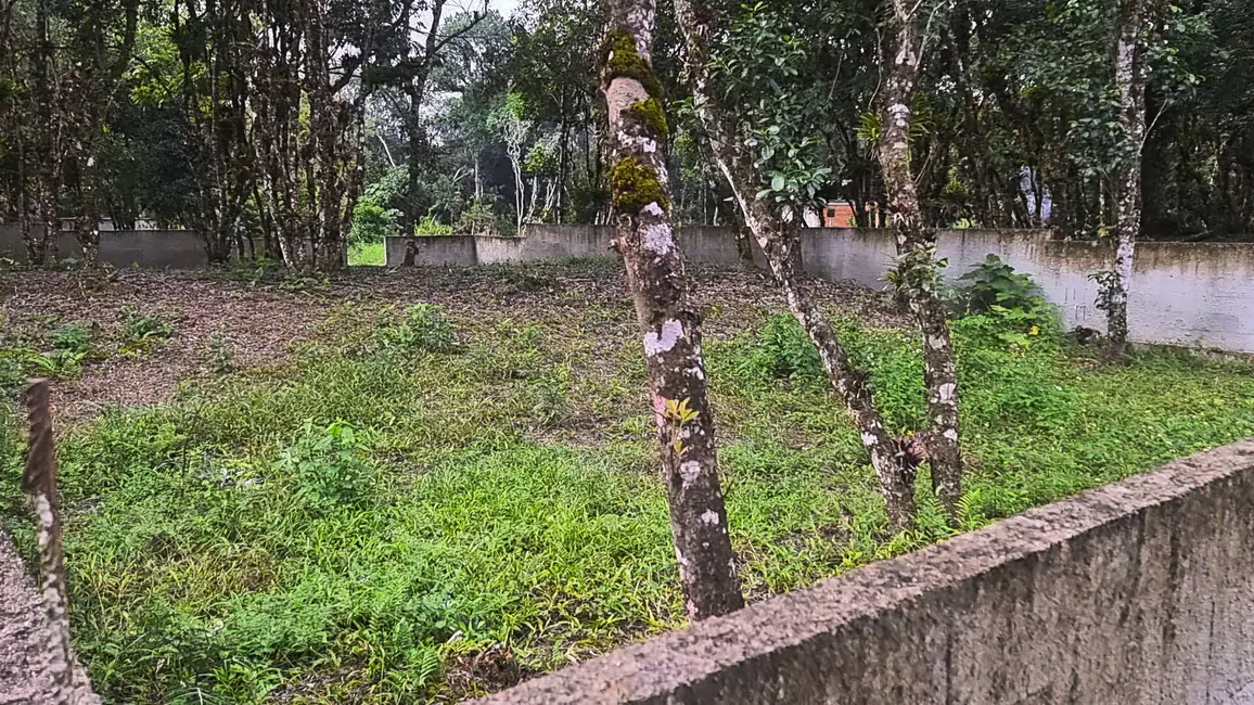 Foto 9 de Terreno / Lote à venda em Guaraguaçu, Pontal Do Parana - PR