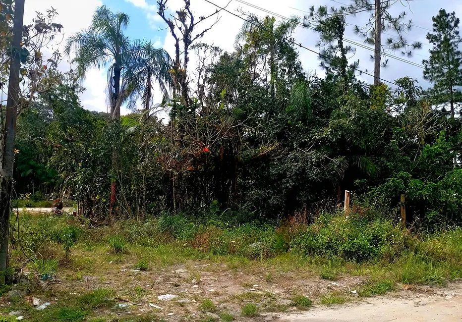 Foto 4 de Chácara à venda, 8500m2 em Guaraguaçu, Pontal Do Parana - PR