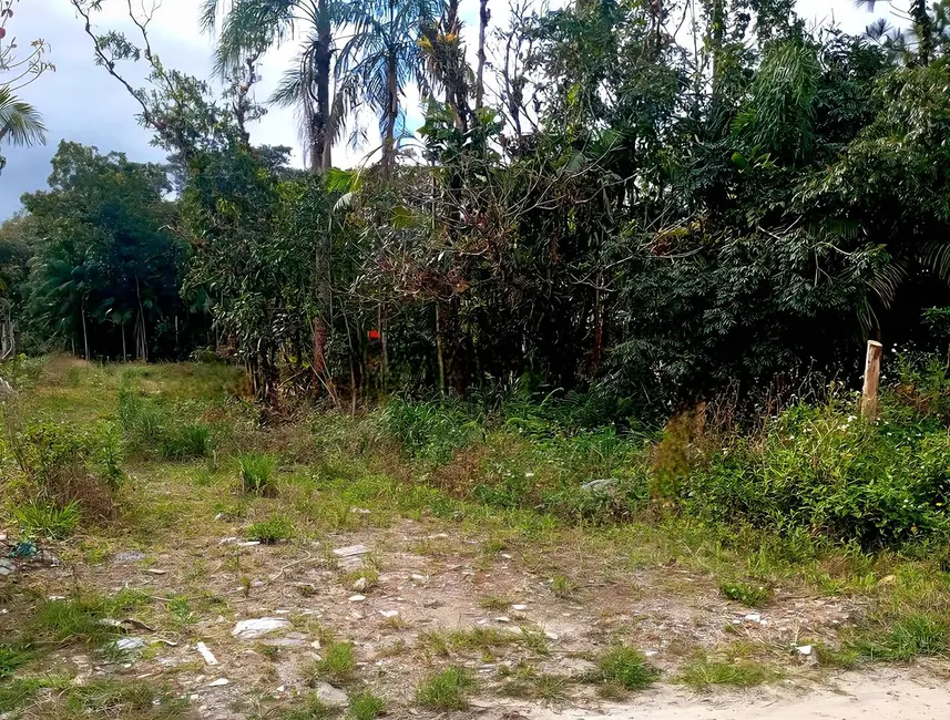 Foto 5 de Chácara à venda, 8500m2 em Guaraguaçu, Pontal Do Parana - PR