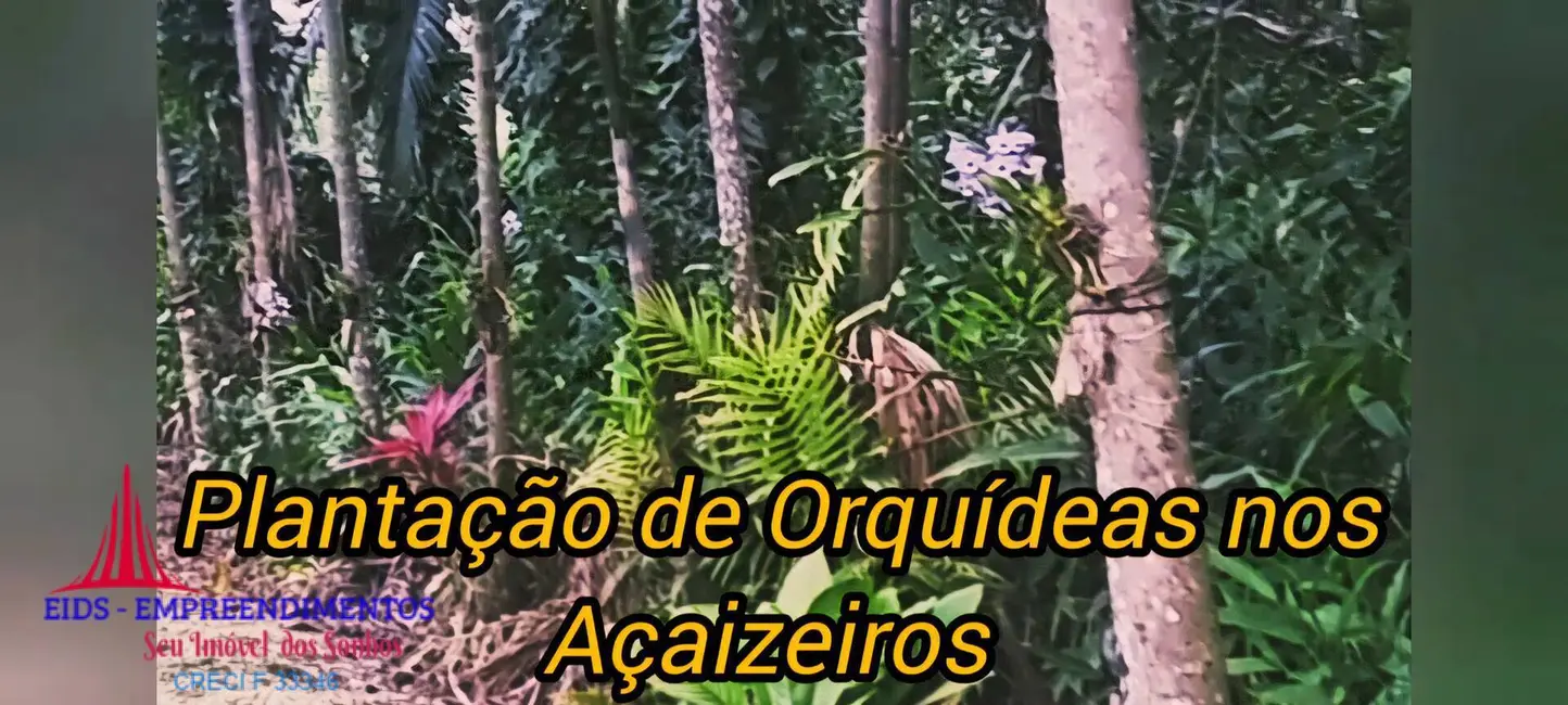 Foto 5 de Chácara com 4 quartos à venda, 1330m2 em Guaraguaçu, Pontal Do Parana - PR