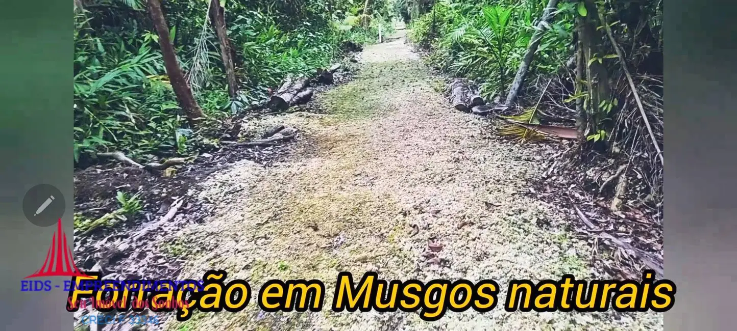 Foto 3 de Chácara com 4 quartos à venda, 1330m2 em Guaraguaçu, Pontal Do Parana - PR