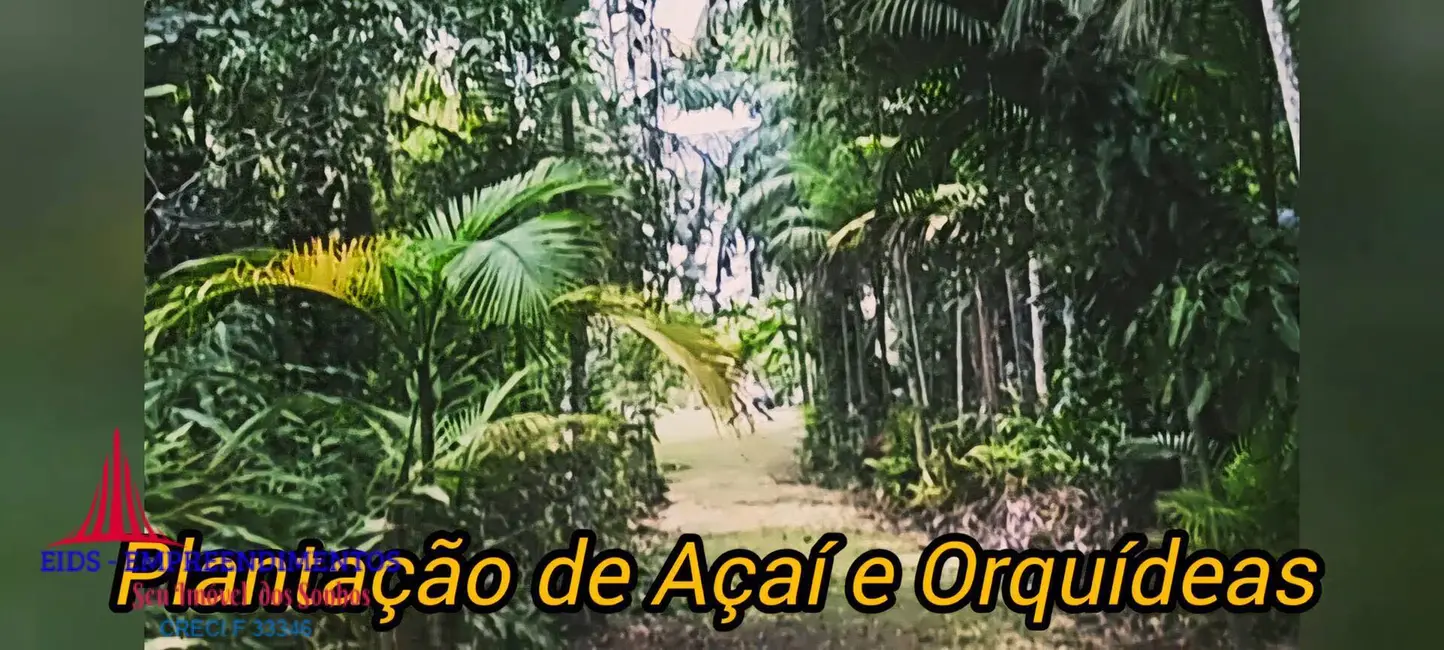 Foto 6 de Chácara com 4 quartos à venda, 1330m2 em Guaraguaçu, Pontal Do Parana - PR