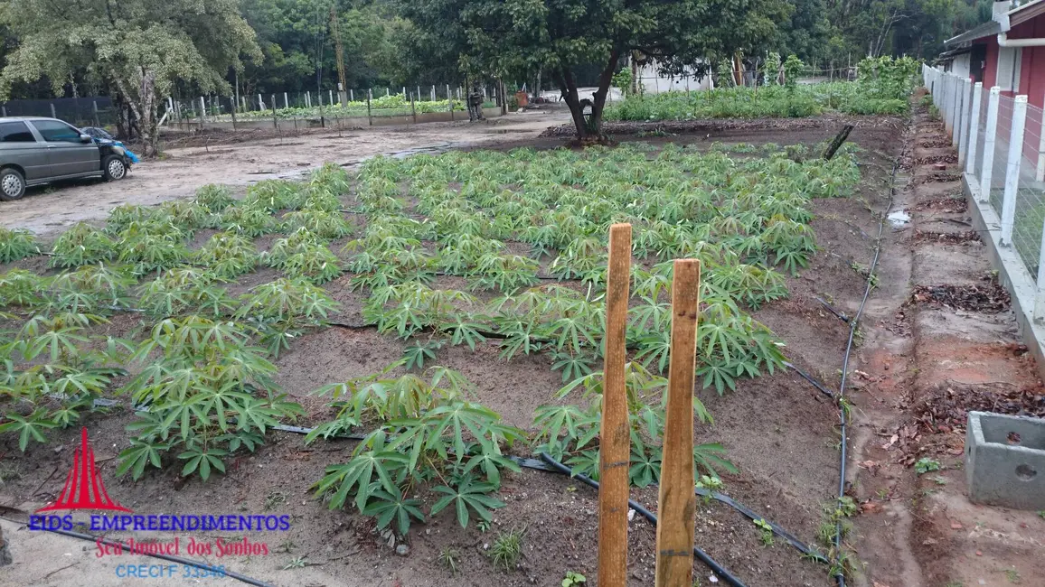 Foto 9 de Chácara com 4 quartos à venda, 1330m2 em Guaraguaçu, Pontal Do Parana - PR