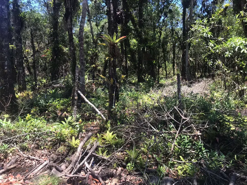 Foto 2 de Terreno / Lote à venda, 2450m2 em Pontal Do Parana - PR