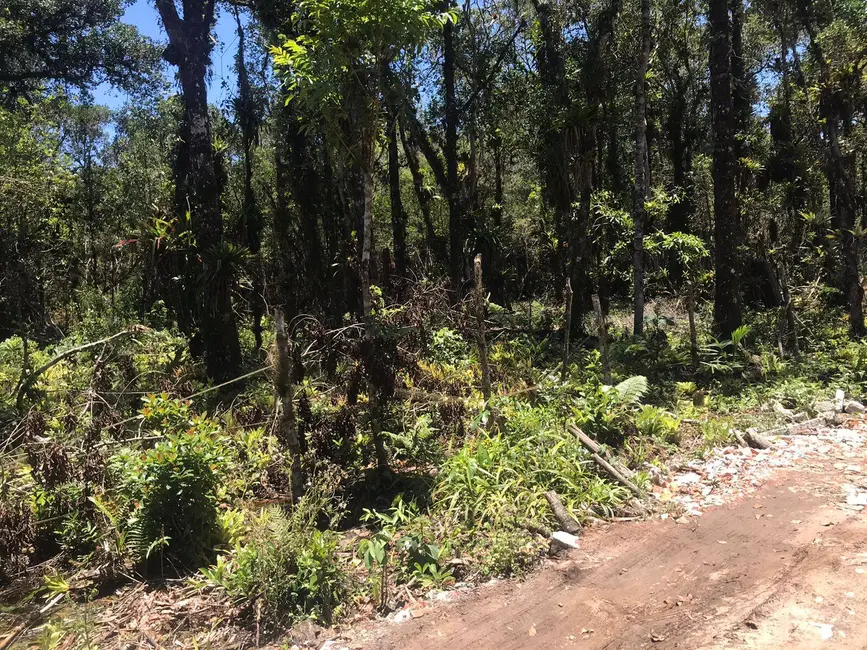 Foto 5 de Terreno / Lote à venda, 2450m2 em Pontal Do Parana - PR