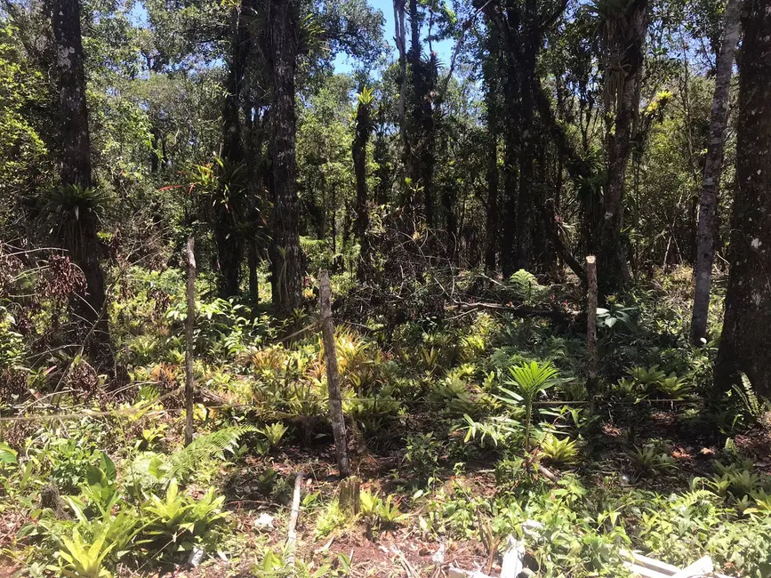 Foto 4 de Terreno / Lote à venda, 2450m2 em Pontal Do Parana - PR