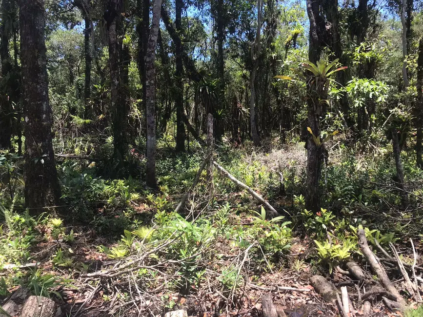 Foto 3 de Terreno / Lote à venda, 2450m2 em Pontal Do Parana - PR