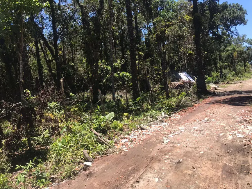 Foto 1 de Terreno / Lote à venda, 2450m2 em Pontal Do Parana - PR