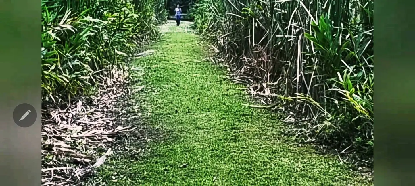 Foto 4 de Chácara à venda, 486m2 em Guaraguaçu, Pontal Do Parana - PR