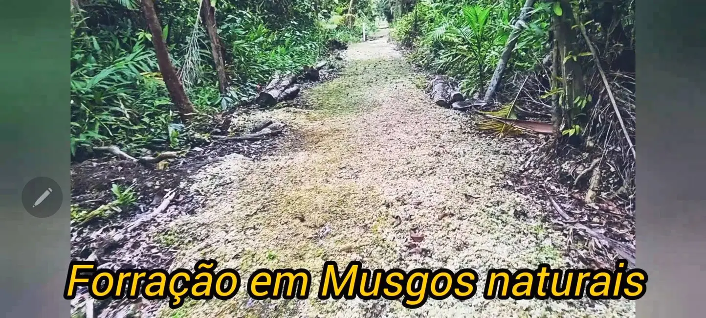 Foto 6 de Chácara à venda, 486m2 em Guaraguaçu, Pontal Do Parana - PR