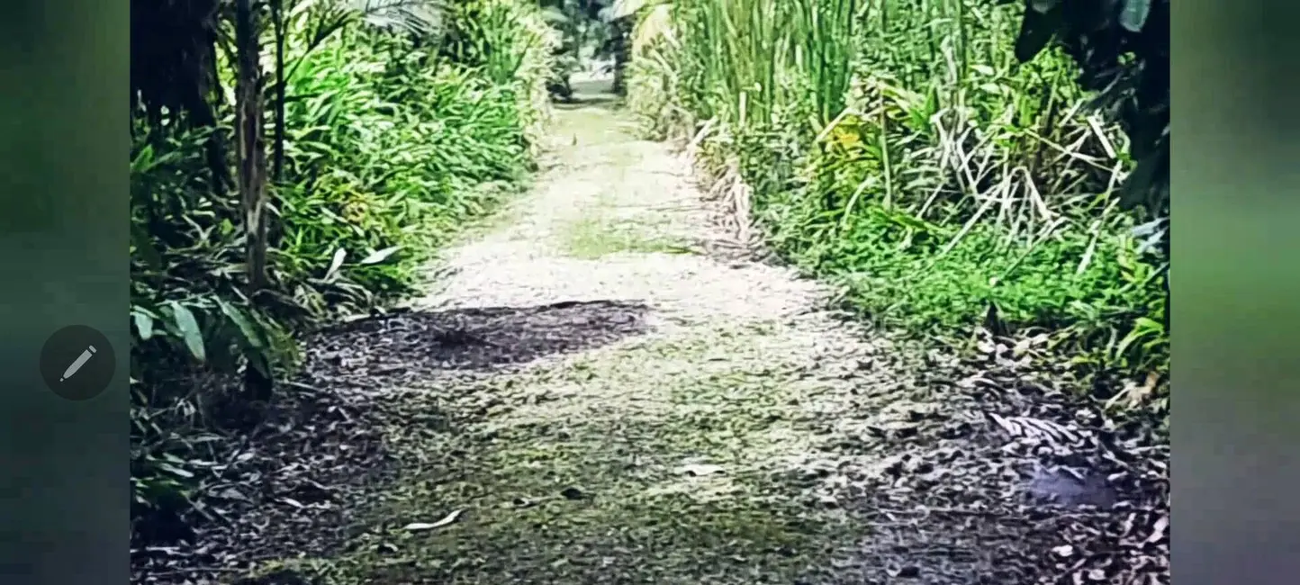 Foto 5 de Chácara à venda, 486m2 em Guaraguaçu, Pontal Do Parana - PR