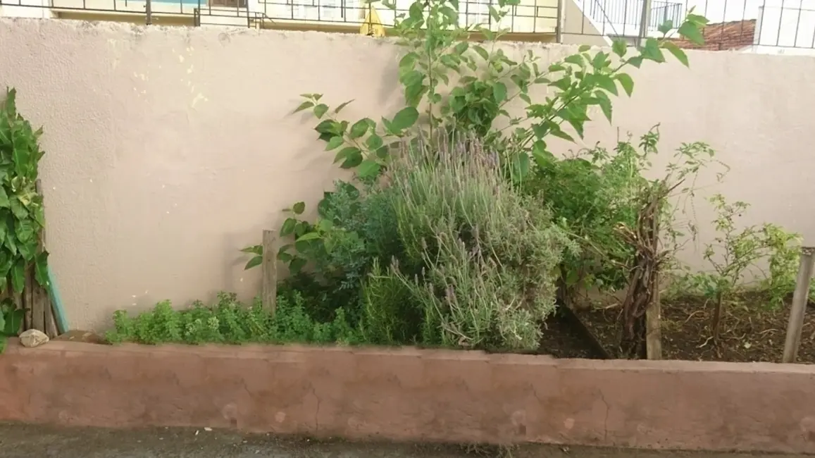 Casa com 2 quartos à venda, 150m2 em Capão da Imbuia, Curitiba - PR - imagem 6 Foto 6 de Casa com 2 quartos à venda, 150m2 em Capão da Imbuia, Curitiba - PR