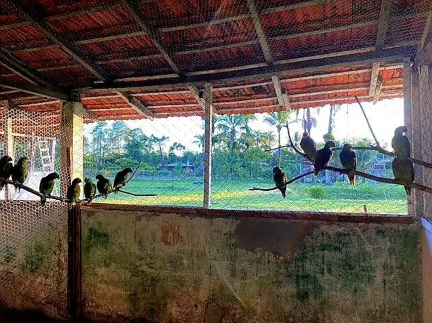 Foto 6 de Chácara com 5 quartos à venda em Pontal Do Parana - PR