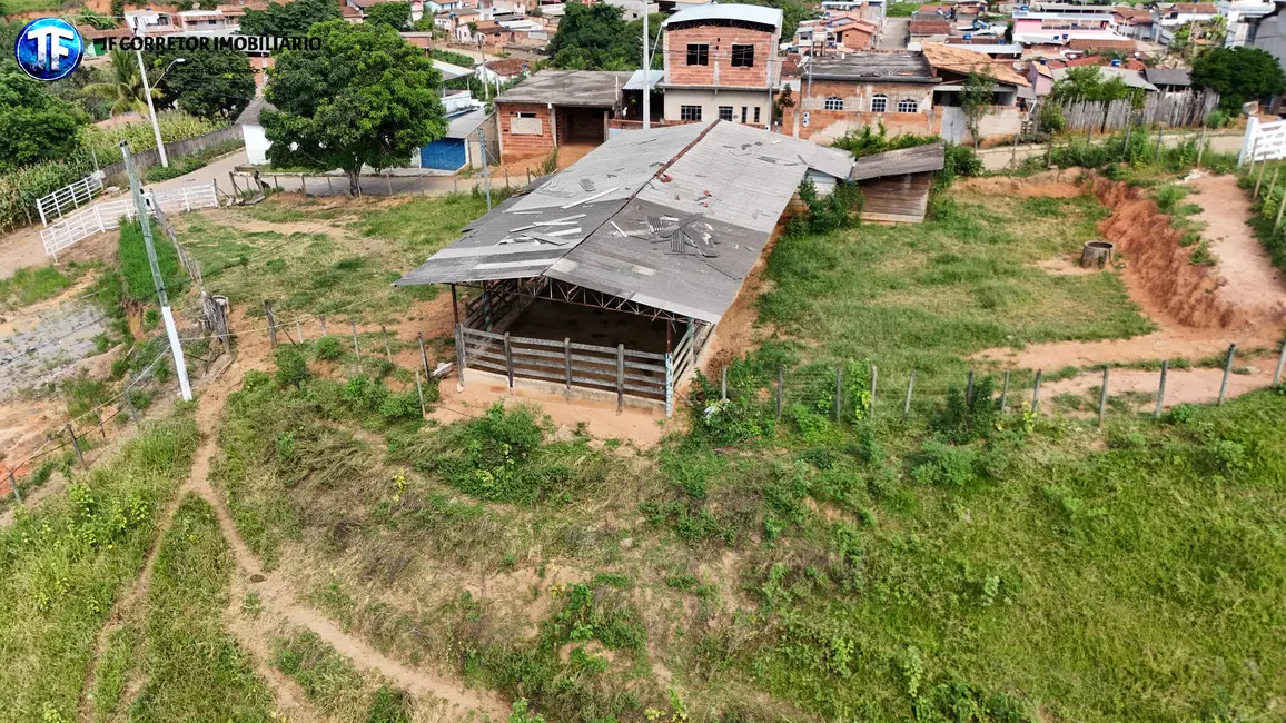 Foto 7 de Chácara com 4 quartos à venda, 25000m2 em Inhapim - MG