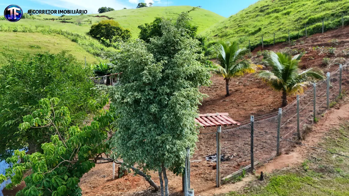 Foto 3 de Chácara com 4 quartos à venda, 25000m2 em Inhapim - MG