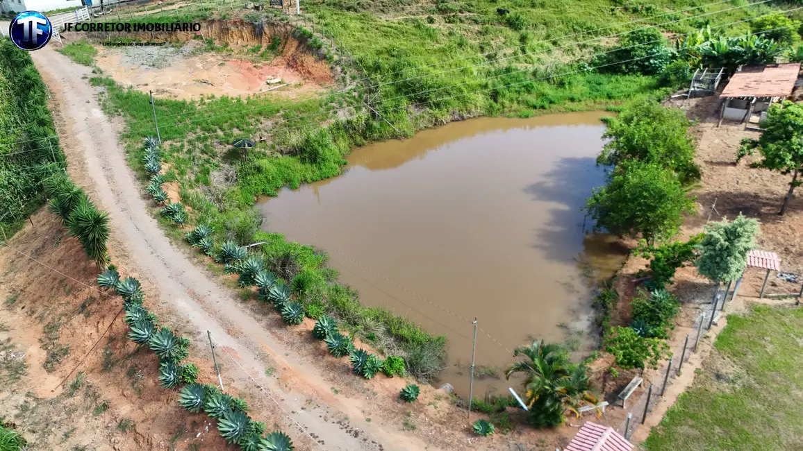 Foto 5 de Chácara com 4 quartos à venda, 25000m2 em Inhapim - MG