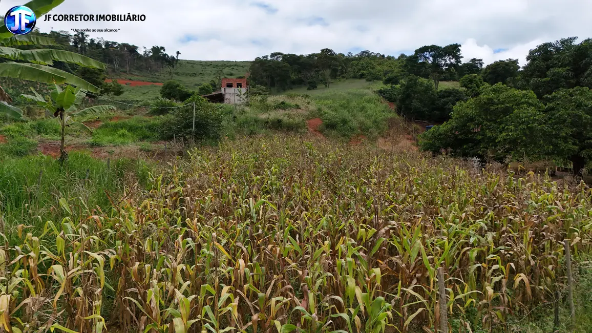 Foto 2 de Chácara à venda, 5325m2 em Iapu - MG
