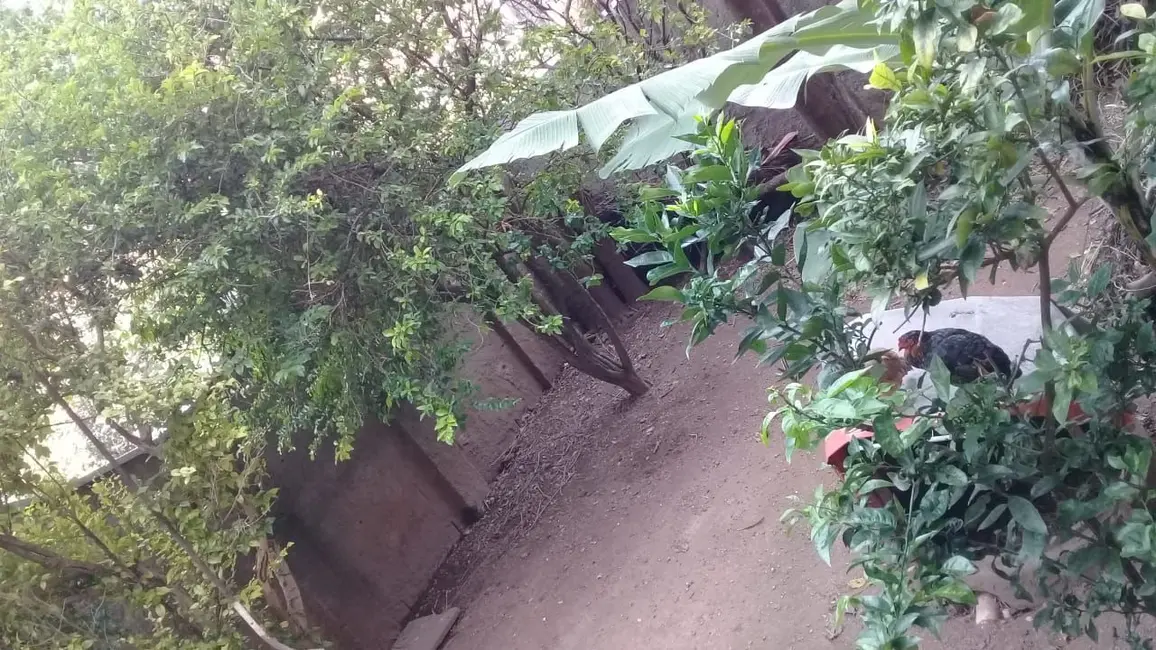 Casa com 4 quartos à venda, 1033m2 em Cidade Intercap, Taboao Da Serra - SP - imagem 7 Foto 7 de Casa com 4 quartos à venda, 1033m2 em Cidade Intercap, Taboao Da Serra - SP